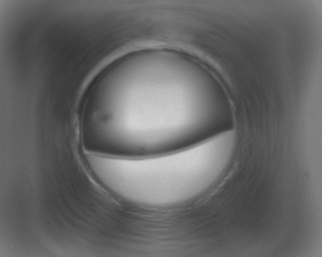 X0000083531509200702090706