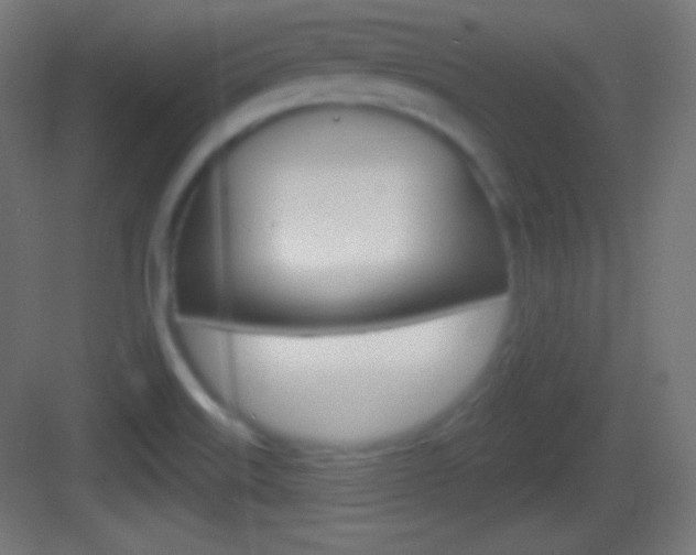 X0000083531515200702090706