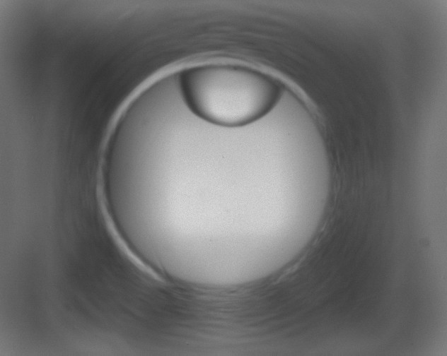 X0000083531518200702090707