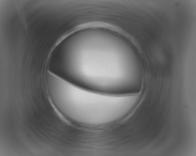 X0000083531521200702090707