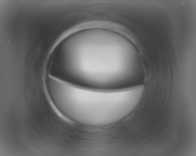 X0000083531523200702090707