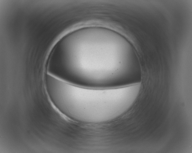 X0000083531527200702090707