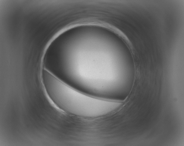 X0000083531528200702090707