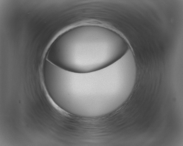 X0000083531531200702090707