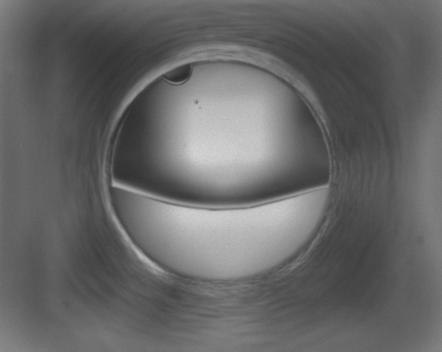 X0000083531533200702090707