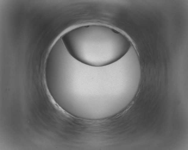 X0000083531534200702090707