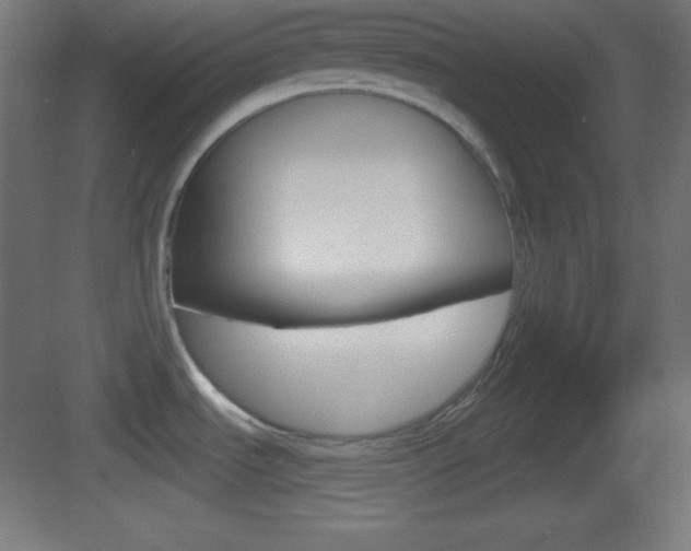 X0000083531535200702090707