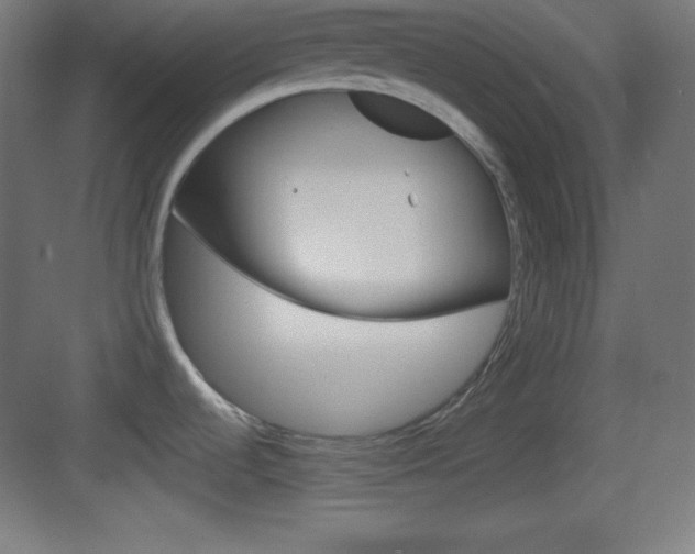 X0000083531536200702090707