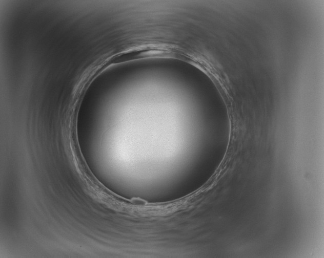 X0000083530001200702091018