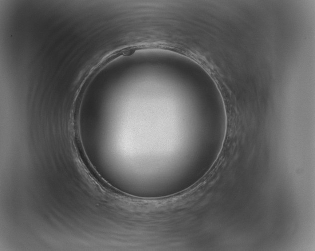 X0000083530002200702091018