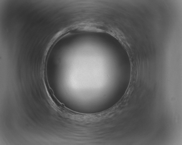 X0000083530003200702091018