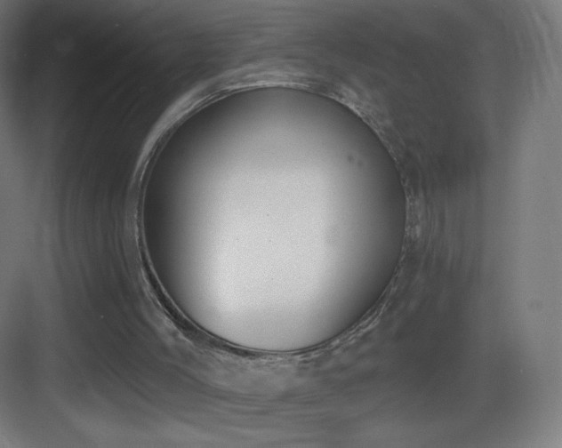 X0000083530004200702091018