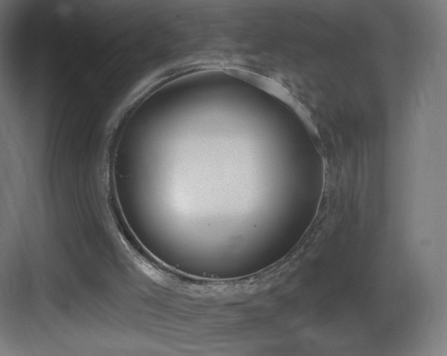 X0000083530005200702091018