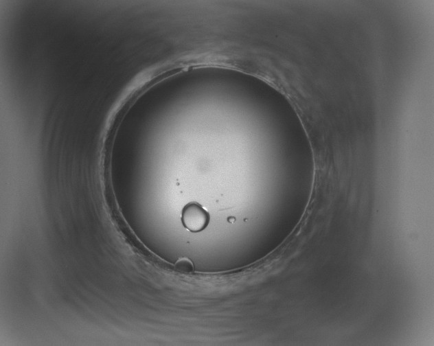 X0000083530006200702091018