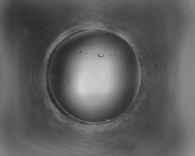 X0000083530007200702091018