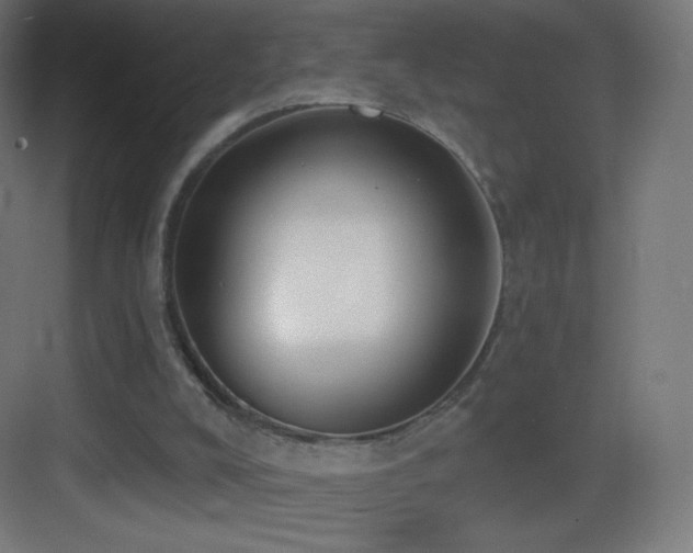 X0000083530008200702091018