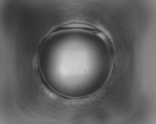 X0000083530009200702091018