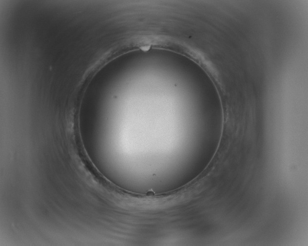 X0000083530010200702091018