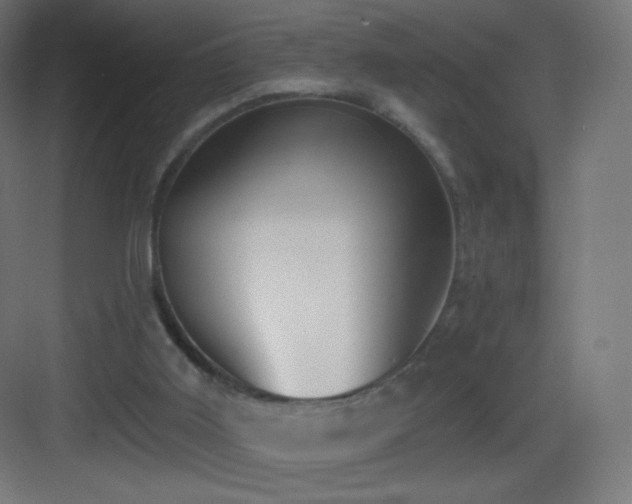 X0000083530011200702091018