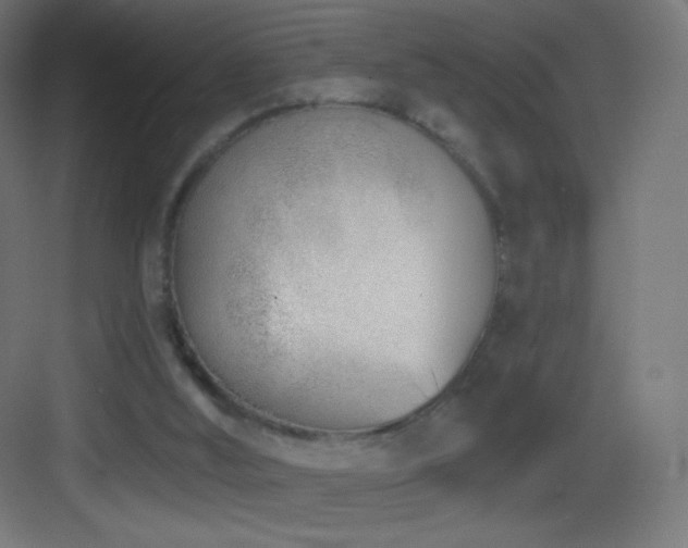 X0000083530012200702091018