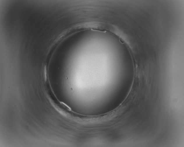 X0000083530013200702091018