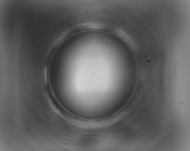 X0000083530014200702091018