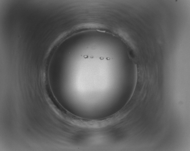 X0000083530015200702091018