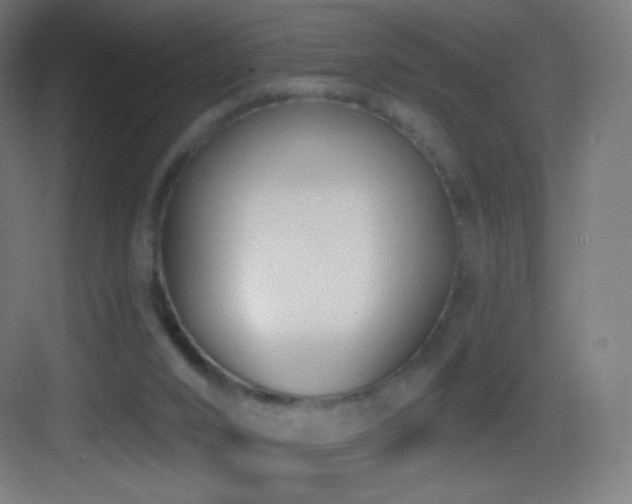 X0000083530016200702091018