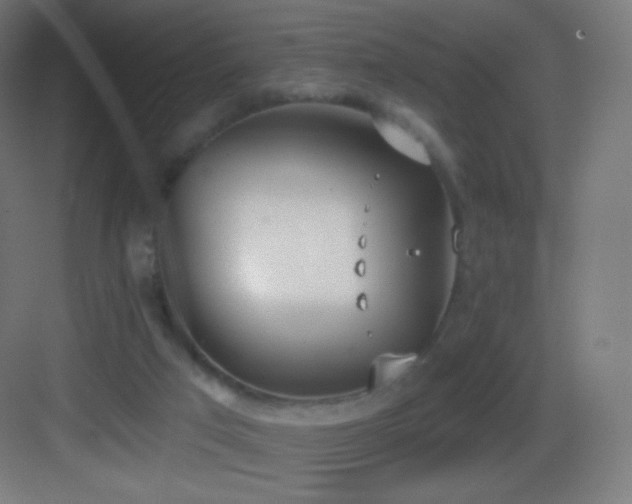 X0000083530017200702091018