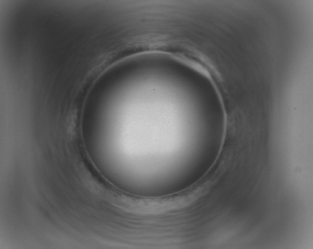 X0000083530018200702091018