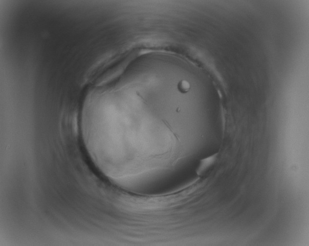 X0000083530019200702091018