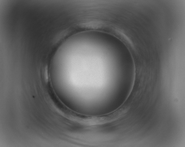 X0000083530020200702091018