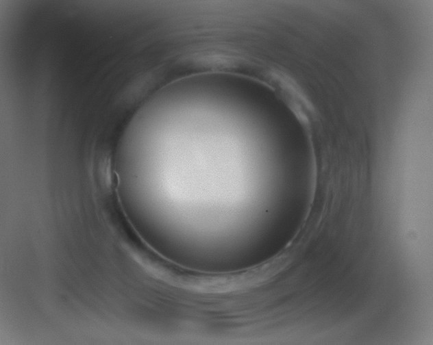 X0000083530021200702091018