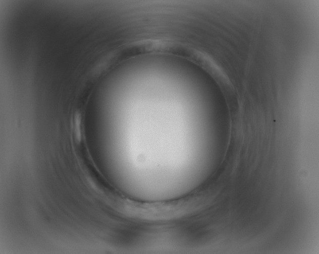 X0000083530022200702091018