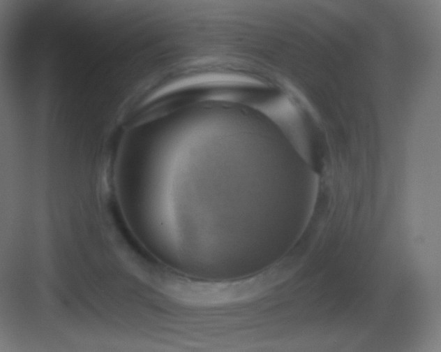 X0000083530023200702091018