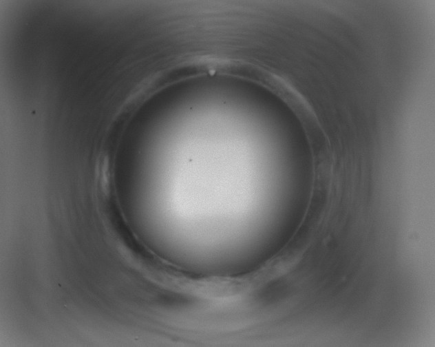 X0000083530024200702091018