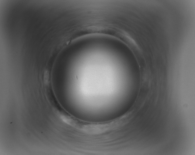 X0000083530025200702091018