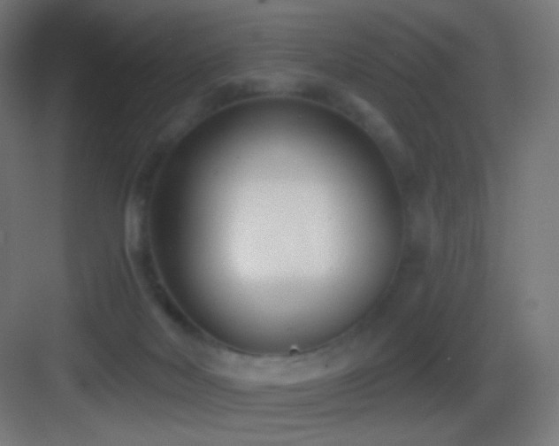 X0000083530026200702091018