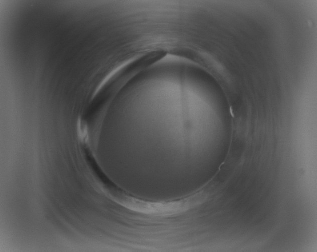 X0000083530027200702091018