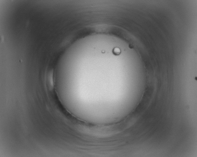 X0000083530028200702091018