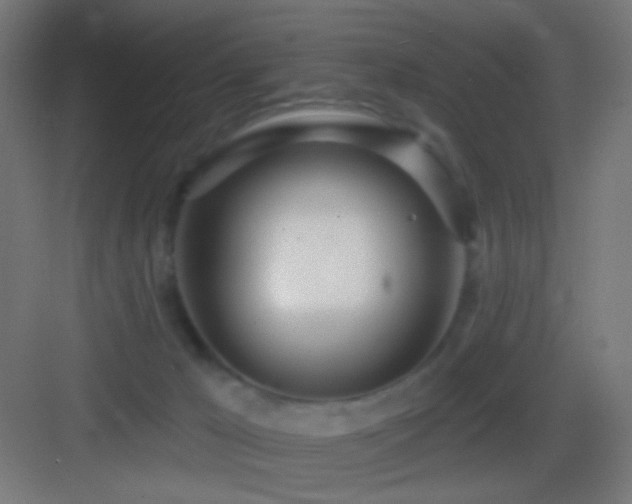 X0000083530029200702091018