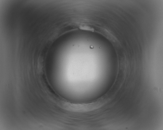 X0000083530030200702091018