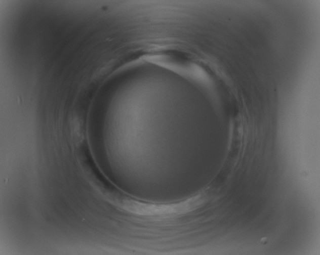 X0000083530031200702091018