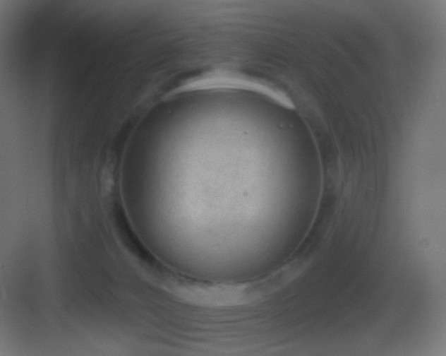 X0000083530032200702091018