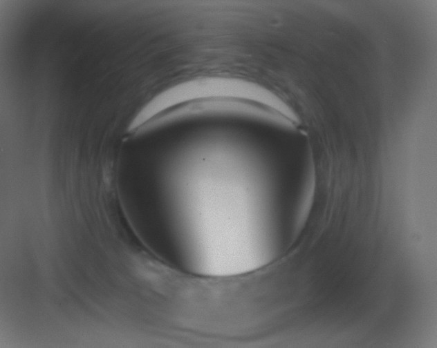 X0000083530033200702091018