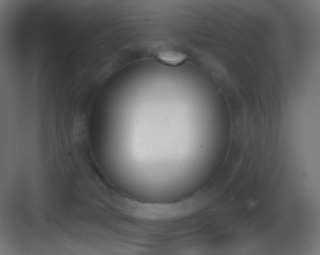 X0000083530034200702091018