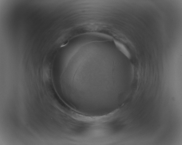 X0000083530035200702091018