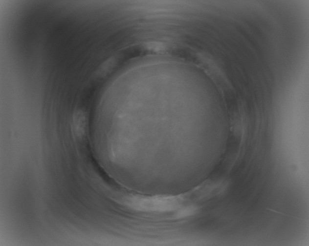 X0000083530036200702091018