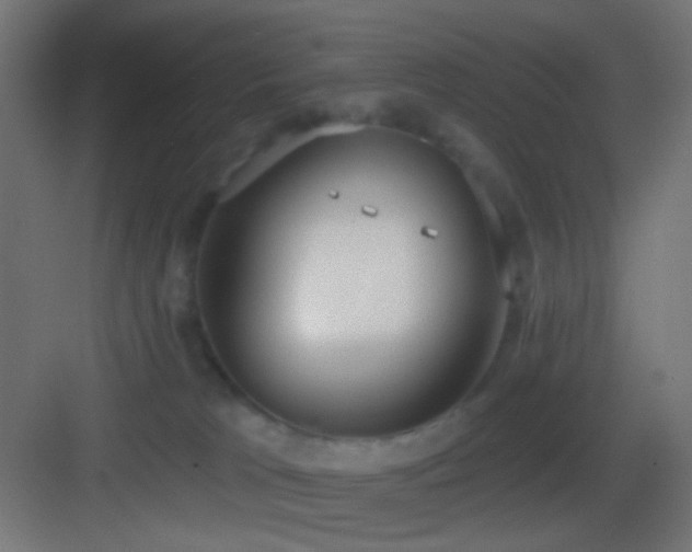 X0000083530037200702091018