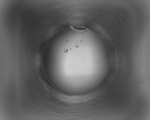 X0000083530038200702091018